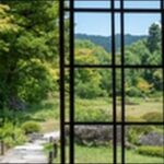 【よ~いドン】京都府宇治市の茶葉販売店、寺、ハンバーガー店を紹介