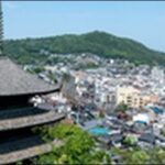 【よ~いドン】広島県の海鮮料理店、植物園、吊橋、農園、ピザ屋