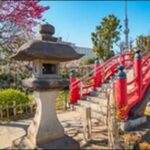 【ケンコバのほろ酔いビジホ泊】東京都亀戸の居酒屋、点心店を紹介