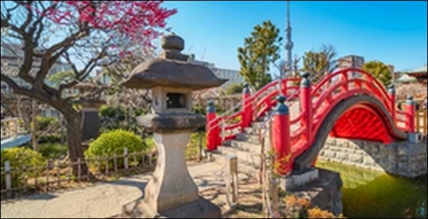 【ケンコバのほろ酔いビジホ泊】東京都亀戸の居酒屋、点心店を紹介