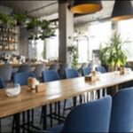 【バナナマンせっかくグルメ】茨城県ひたちなか市肉料理、ラーメン