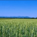 【旅するSnow Man】北海道の温泉旅館、テーマパークを紹介