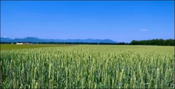 【旅するSnow Man】北海道の温泉旅館、テーマパークを紹介