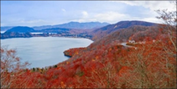 【朝だ生です旅サラダ】青森県そば屋、美術館、フェリー、ラーメン店