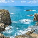 【朝だ生です旅サラダ】福井県の魚市場、公園、神社、工芸体験工房