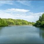 【うさぎとかめ】宮崎県のレストラン、リゾートホテルを紹介