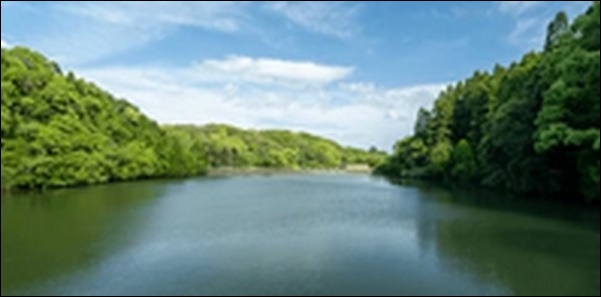 【うさぎとかめ】宮崎県のレストラン、リゾートホテルを紹介