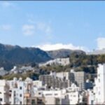 【土曜はナニする】静岡県の海鮮料理店、ケーブルカー、動物園を紹介