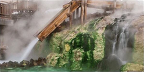 【ラヴィット】群馬県草津の居酒屋、温泉、カフェ、スイーツ店