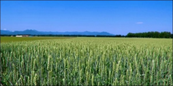 【朝だ生です旅サラダ】北海道の寿司店、牧場、焼肉店、ワイナリー、スポーツセンター、和菓子店を紹介します。