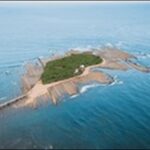 【朝だ生です旅サラダ】宮崎県の神社、吊橋、ラーメン店、レストラン