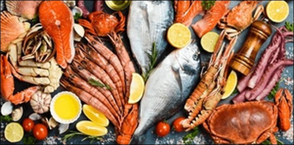 【朝だ生です旅サラダ】和歌山県海鮮料理店、福井県水産加工店を紹介