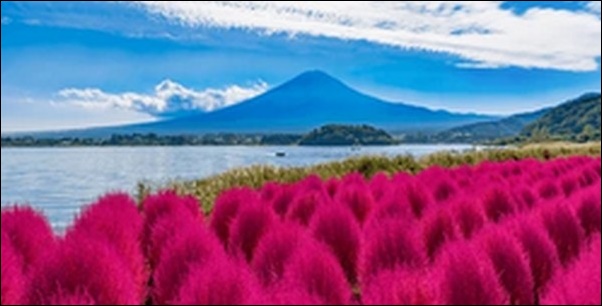 【土曜はナニする】山梨県河口湖の喫茶店、乗馬場、ほうとう、土産店