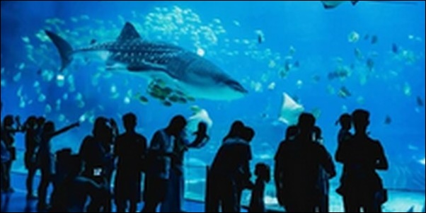 【土曜はナニする】静岡県水族館「伊豆三津シーパラダイス」を紹介