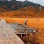 【かりそめ天国】栃木県の池、公園、酒造、ラーメン店、和食店を紹介