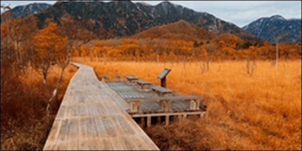 【かりそめ天国】栃木県の池、公園、酒造、ラーメン店、和食店を紹介