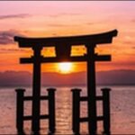 【マツコの知らない世界】2026年開運神社お勧め11選を紹介