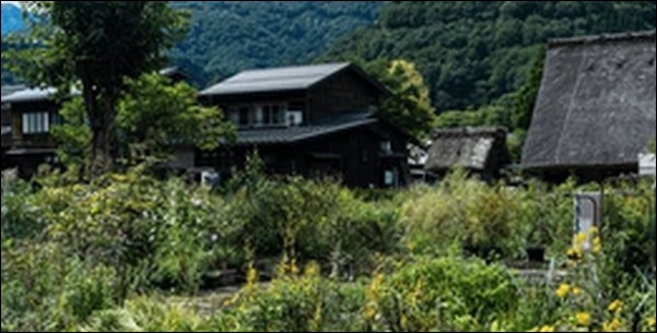 【朝だ生です旅サラダ】岐阜県の温泉、集落、体験型施設を紹介