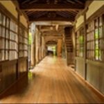 【よ~いドン】福井県の喫茶店、絶壁、水族館、洋菓子店を紹介