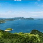 【よ~いドン】香川県丸亀市の居酒屋、うどん店、城、水族館を紹介