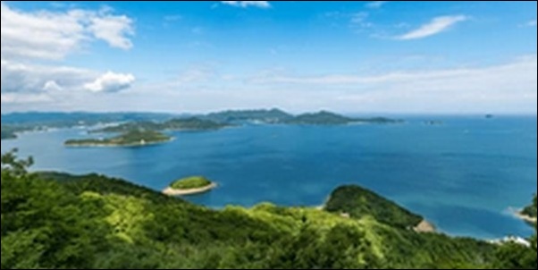 【よ～いドン】香川県丸亀市の居酒屋、うどん店、城、水族館を紹介