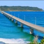 【よ~いドン】山口県下関市の貸衣裳店、水族館、ふぐ料理店を紹介