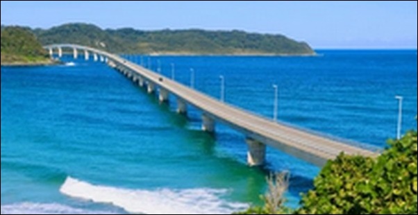 【よ～いドン】山口県下関市の貸衣裳店、水族館、ふぐ料理店を紹介