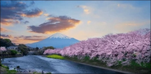 【よ～いドン】静岡県のうなぎ店、食堂、水族館、展望台を紹介