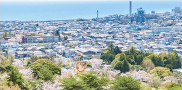 【よ～いドン】茨城県水戸市の水族館、そば屋、庭園を紹介します。