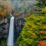 【土曜はナニする】栃木県日光市の神社、テーマパークを紹介