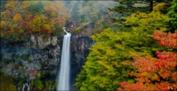 【土曜はナニする】栃木県日光市の神社、テーマパークを紹介