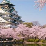 【土曜のあさはほめるちゃん】大阪府の喫茶店、種子販売店、和菓子屋