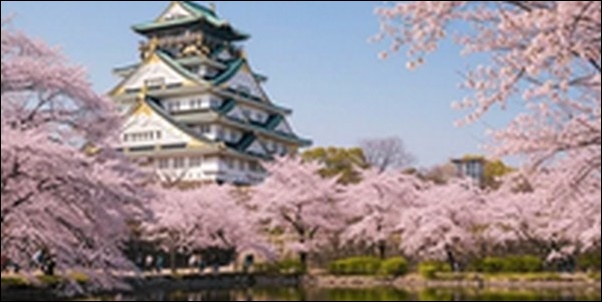 【土曜のあさはほめるちゃん】大阪府の喫茶店、種子販売店、和菓子屋