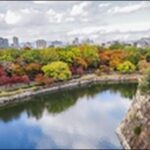 【土曜のあさはほめるちゃん】大阪府豊中市の食材店、洋食、和菓子屋