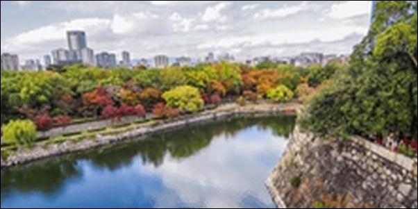 【土曜のあさはほめるちゃん】大阪府豊中市の食材店、洋食、和菓子屋