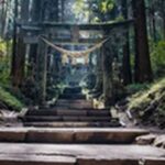 【マツコの知らない世界】福井県の開運神社「福井県護国神社」を紹介