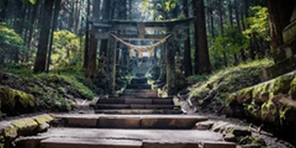 【マツコの知らない世界】福井県の開運神社「福井県護国神社」を紹介