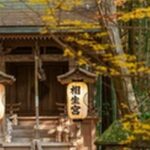 【マツコの知らない世界】滋賀県の開運神社「大野神社」を紹介