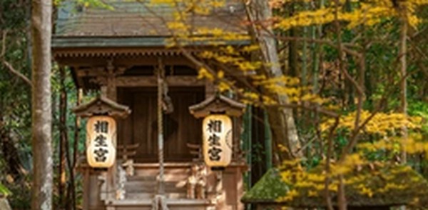 【マツコの知らない世界】滋賀県の開運神社「大野神社」を紹介