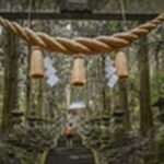 【マツコの知らない世界】佐賀県の開運神社「祐徳稲荷神社」を紹介