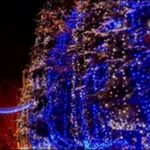 【めざましテレビ】埼玉県イルミネーションお勧めを紹介します。