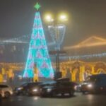 【めざましテレビ】東京都イルミネーションおすすめを紹介します。