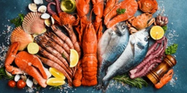 【朝だ生です旅サラダ】福井県の海鮮料理「生け簀の甲羅 赤レンガ店」