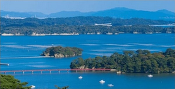 【朝だ生です旅サラダ】宮城県気仙沼市の海鮮料理、喫茶店、食堂