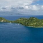 【ZIP】東京都八丈島の居酒屋「八丈島郷土料理 梁山泊」を紹介