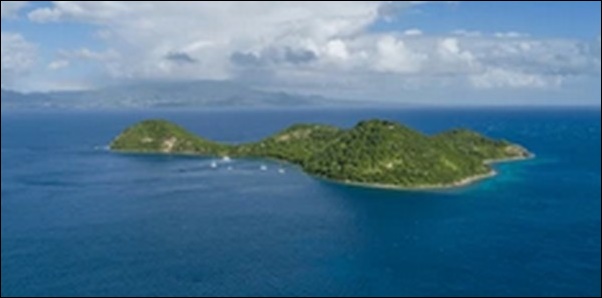 【ZIP】東京都八丈島の和食店「八丈島郷土料理 梁山泊」を紹介