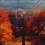 【土曜はナニする】栃木県那須高原お勧めスポット5選を紹介します。