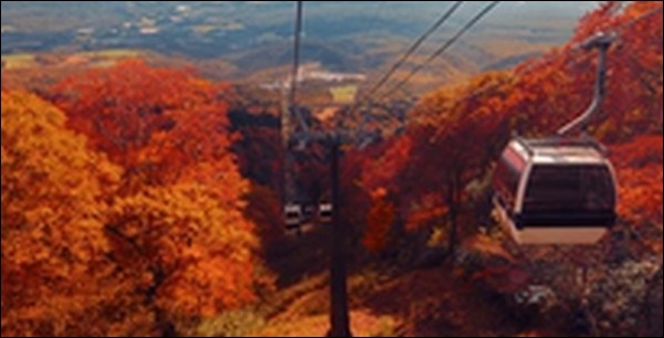 【土曜はナニする】栃木県那須高原お勧めスポット5選を紹介します。