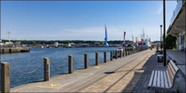 【バナナマンせっかくグルメ】神奈川県三浦市の食堂「まるい食堂」