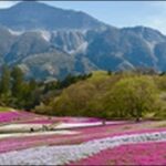 【朝だ生です旅サラダ】埼玉県秩父市の温泉、観光船、食堂、神社